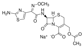 CEFOTAXIME SODIUM, UNITED STATES PH