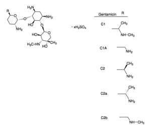 GENTAMICIN SULFATE